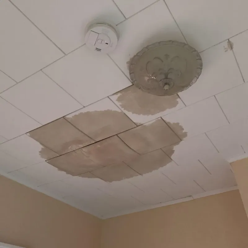 Ceiling Water Damage Repair in East Millinocket, ME