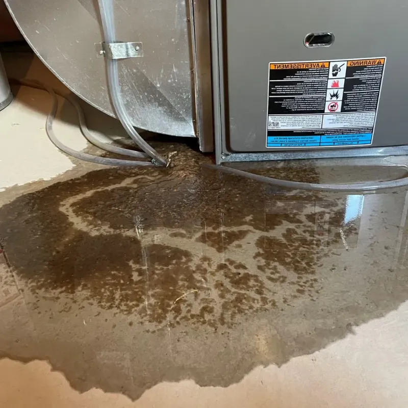 Pipe Burst and Leak Restoration in East Millinocket, ME